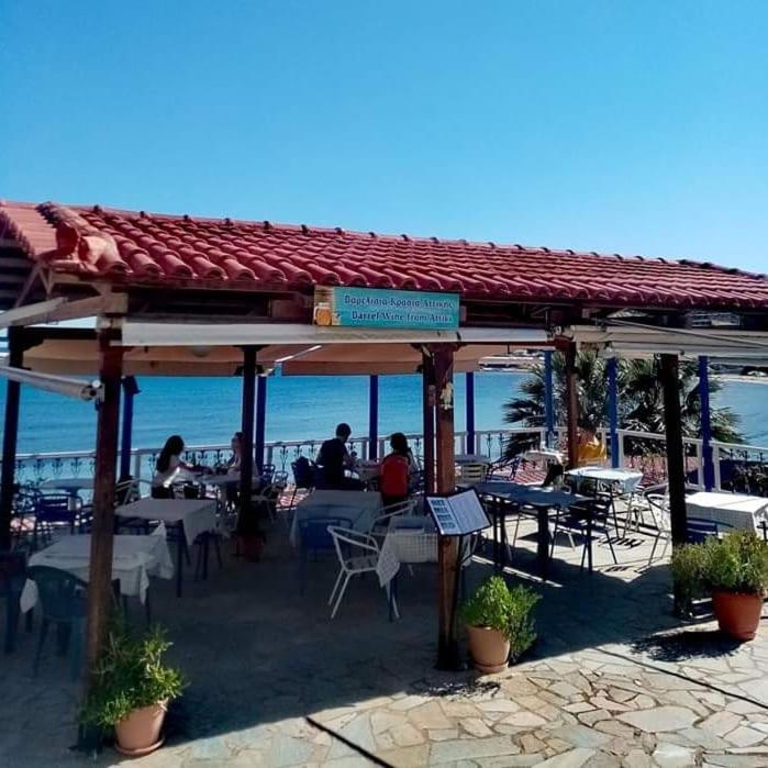 Svetlana & Michalis Oasis Hotel Agia Marina  Экстерьер фото