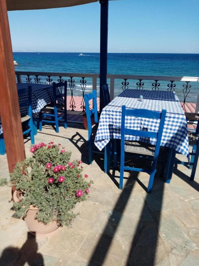 Svetlana & Michalis Oasis Hotel Agia Marina  Экстерьер фото